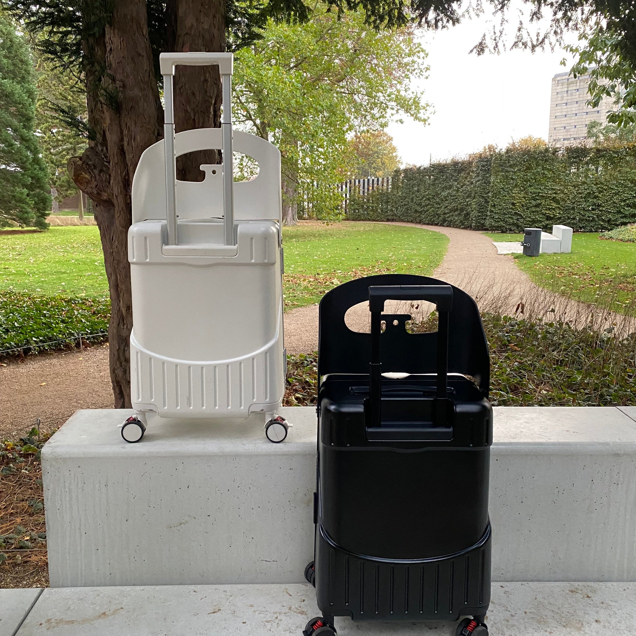 LUGGIE 20 Inch Carry-On Suitcases