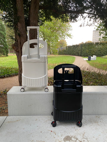 LUGGIE 20 Inch Carry-On Suitcases